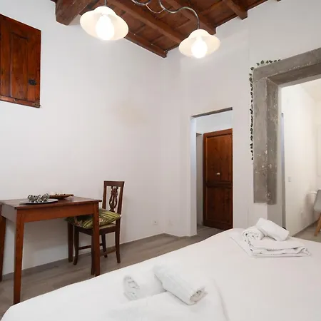 דירה San Frediano Loft
